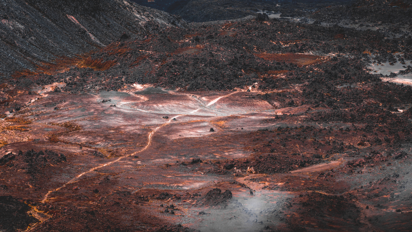 Rentar tu terreno: recomendaciones para maximizar la rentabilidad