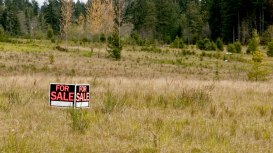 Los beneficios de contar con un experto en la venta de terrenos para guiar el proceso y lograr los mejores resultados posibles 