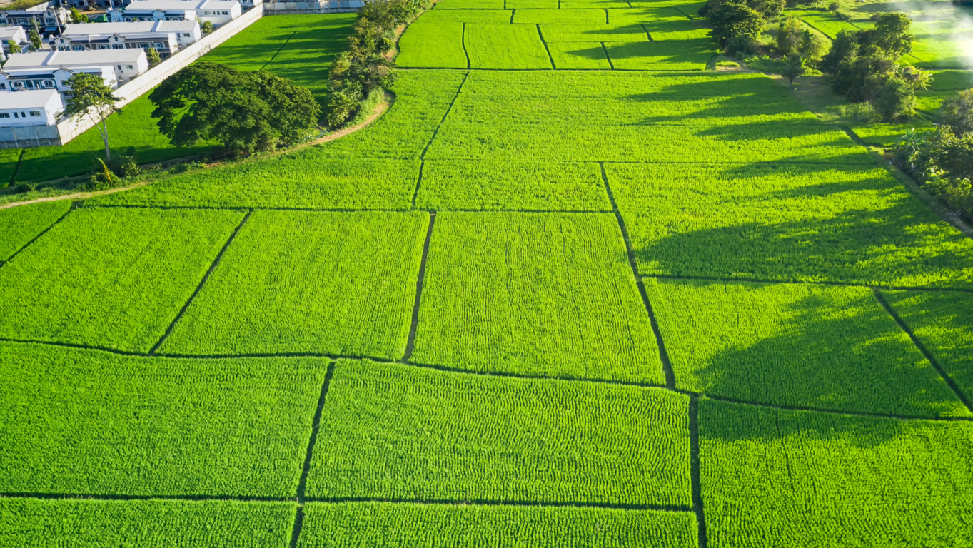 Aumenta la visibilidad de tu terreno en el mercado inmobiliario con estrategias de marketing efectivas y creativas