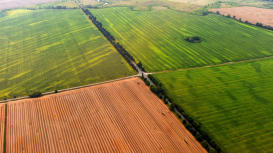 Los elementos esenciales para crear un anuncio exitoso que destaque las caracter�sticas �nicas y potencial de tu terreno 