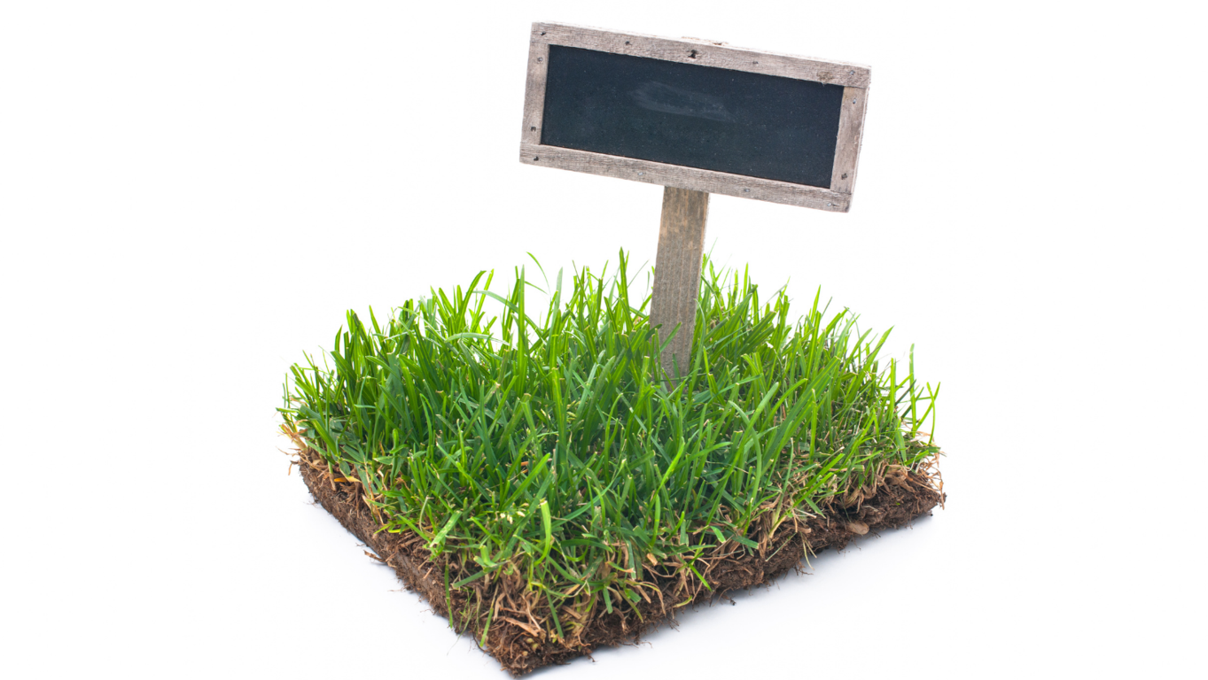 Los beneficios de contar con un equipo especializado en la promoci�n de venta de terrenos para maximizar tus oportunidades de venta y cerrar transacciones exitosas que te beneficien a ti y a los compradores 