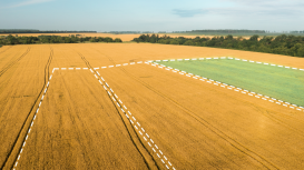 Los secretos para incrementar el valor de tu terreno y atraer a los compradores adecuados con una estrategia de promoci�n exitosa y efectiva 