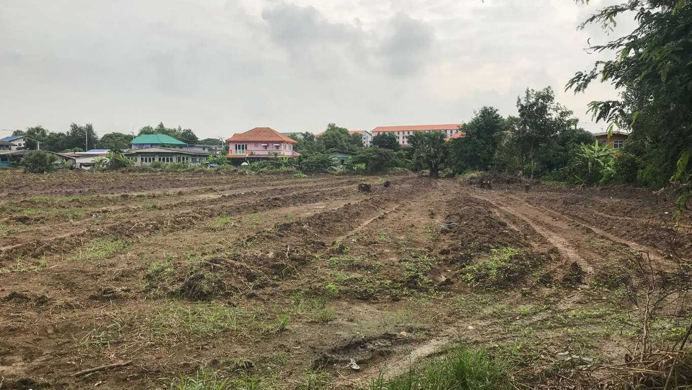 Descubre c�mo optimizar la renta de tu terreno y obtener los mejores ingresos posibles con estrategias comprobadas por expertos 