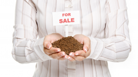 Descubre c�mo optimizar la renta de tu terreno y maximizar tus ingresos