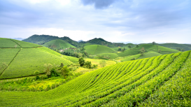 Los beneficios de contar con un equipo dedicado a la promoci�n de venta de terrenos