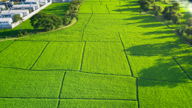 Aumenta la visibilidad de tu terreno en el mercado inmobiliario con estrategias de marketing efectivas y creativas