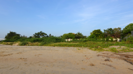 Consejos para fijar el precio de renta perfecto que atraiga a los arrendatarios ideales