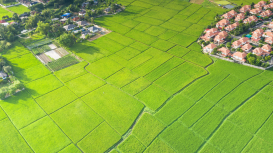 Rentar tu terreno: claves para fijar un precio de arrendamiento competitivo y justo